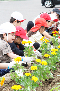 令和3年6月15日号表紙