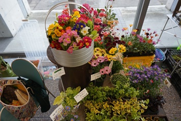 片桐農園のお花