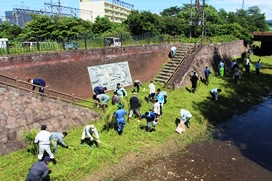 河川清掃