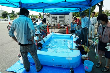 遊水地の魚