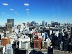 三井化学本社からの風景