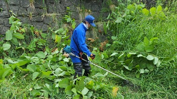 草刈りの様子